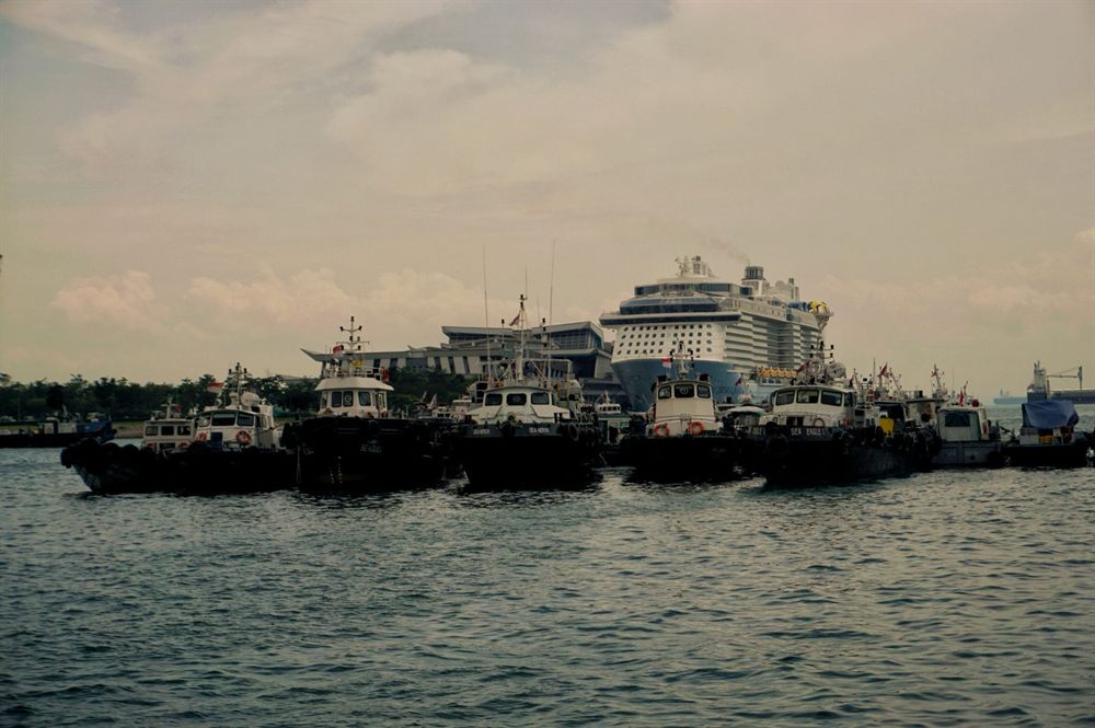 Large cruise ship docked at a port terminal behind a row of tugboats