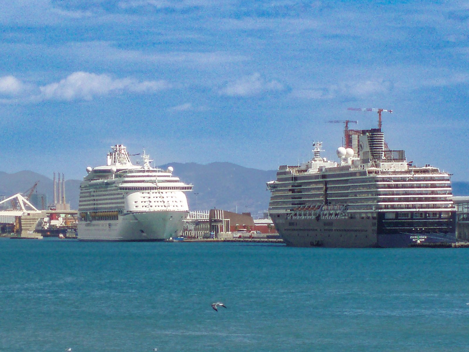 Two large cruise ships of different lines docked side by side at a port